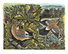 Load image into Gallery viewer, Two Jays nestle in an oak tree in this charming orignal print by Angela Harding